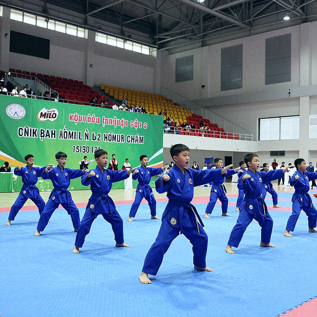 Võ thuật Việt Nam: Khi phân tích chuyên sâu không còn nguyên liệu để phân tích
