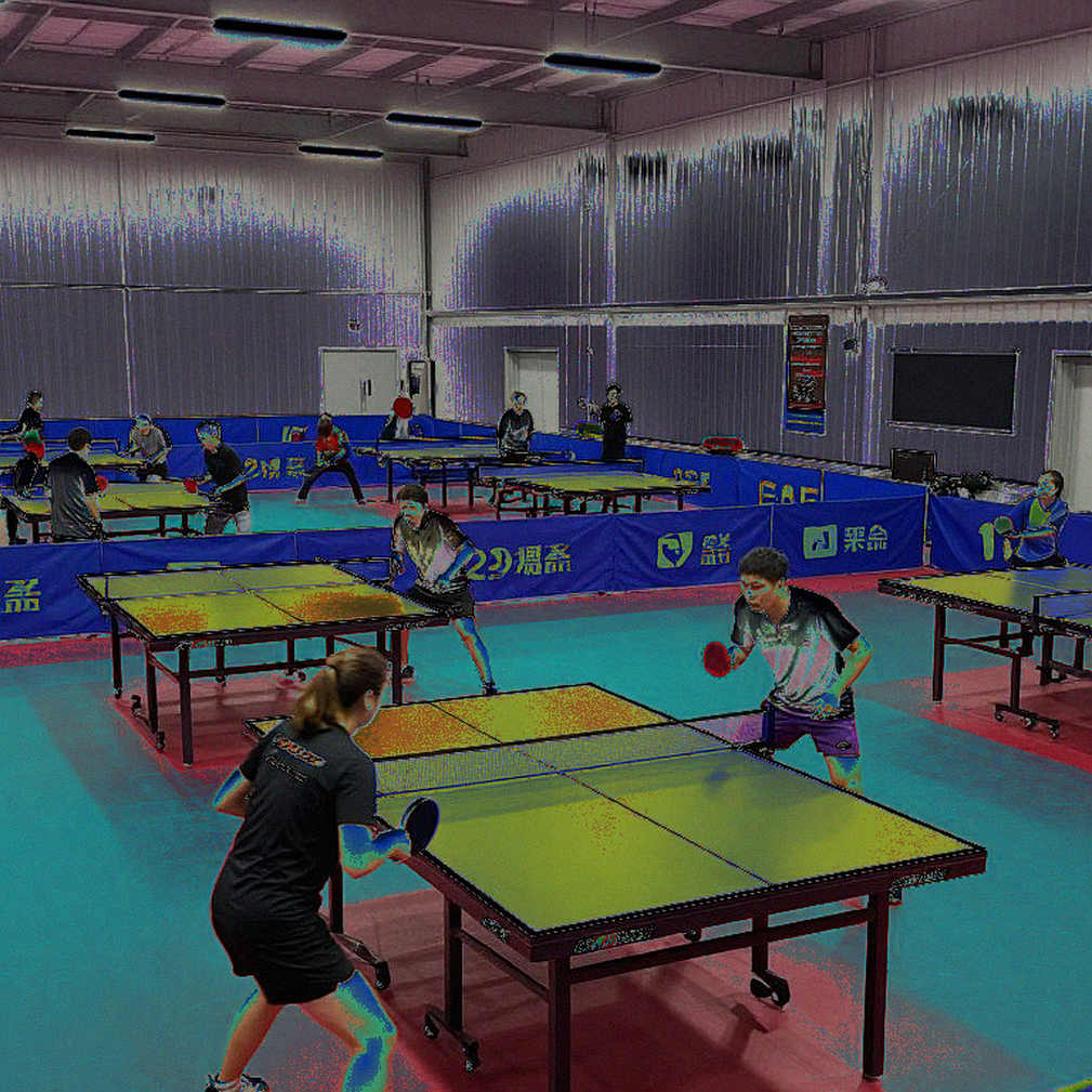 Three Names, Six Months, and a Suspended Table Tennis Federation Three Names, Six Months, and a Suspended Table Tennis Federation