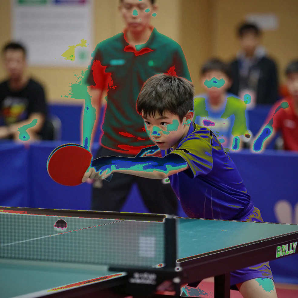 Three Names, Six Months, and a Suspended Table Tennis Federation Three Names, Six Months, and a Suspended Table Tennis Federation