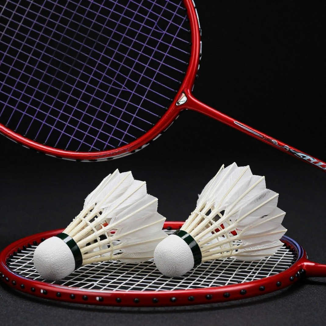 Đội tuyển cầu lông Ấn Độ tại Asian Games 2026: hai mươi cái tên, một tấm huy chương vàng và khoảng trống chưa lấp